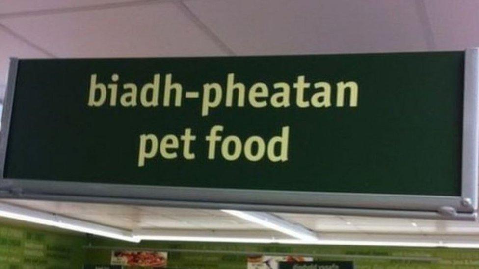 'Biadh' means food in Scottish Gaelic and 'pheatan' could be an attempt to translate 'peata,' meaning pet - the sign should read 'bwyd anifeiliaid anwes' in Welsh