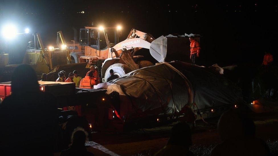 Whale being removed