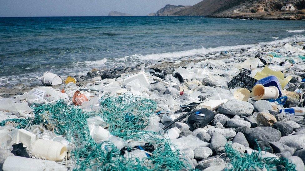 Rubbish on the coastline