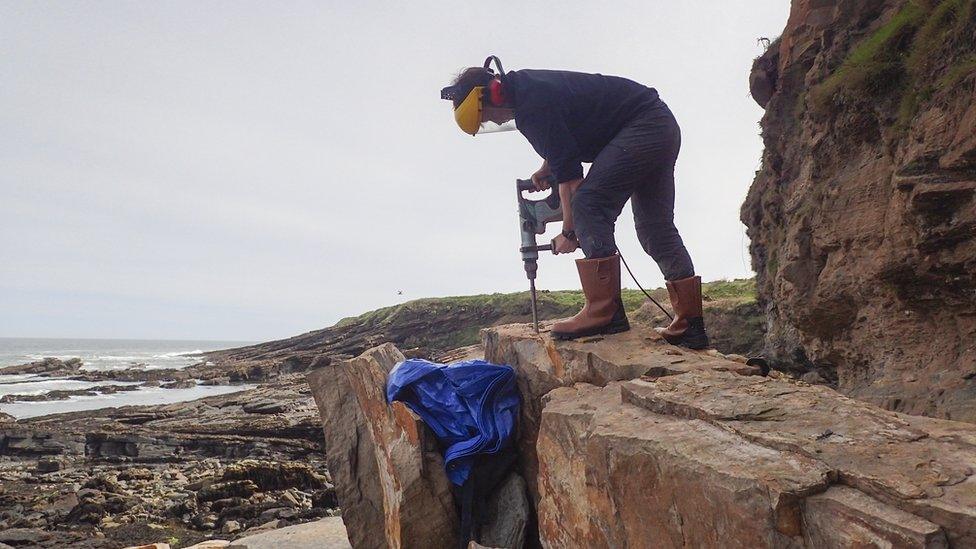 The fossil was found on a Northumberland beach