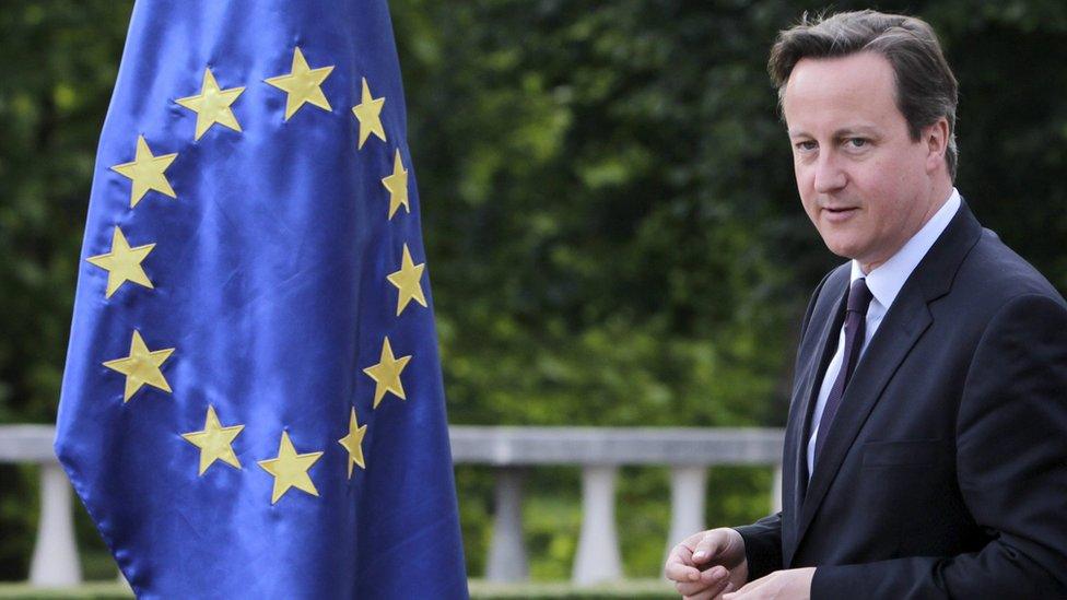 David Cameron walks past an EU flag in June 2015