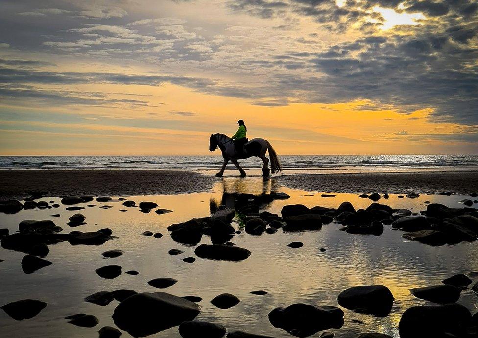 Ceffyl Traeth Dinas Dinlle