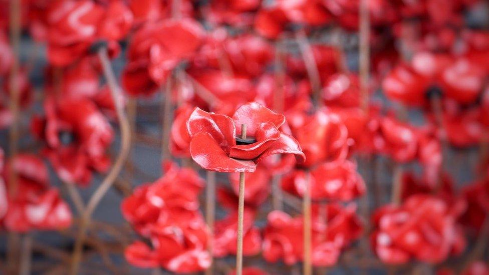 Poppies sculpture