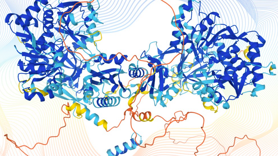 Protein structure