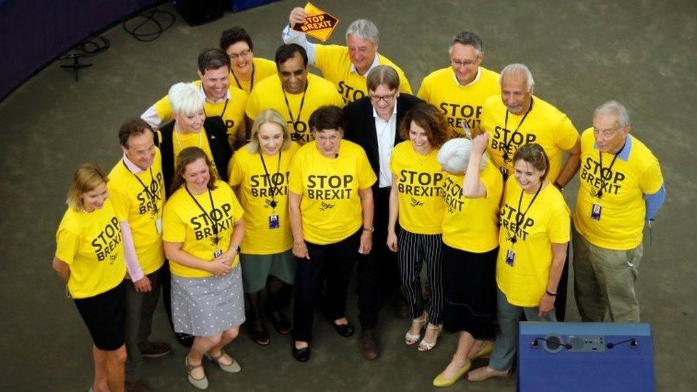 Liberal Democrat MEPs wearing "Stop Brexit" t-shirts with Guy Verhofstadt