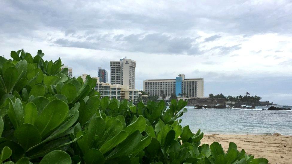 Puerto Rico beaches, buildings and plants