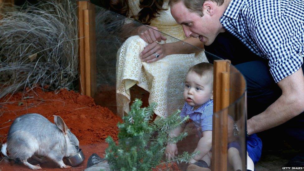 Prince George and his parents, the Duke and Duchess of Cambridge, visit the bilby enclosure at Sydney's Taronga Zoo, April 2014