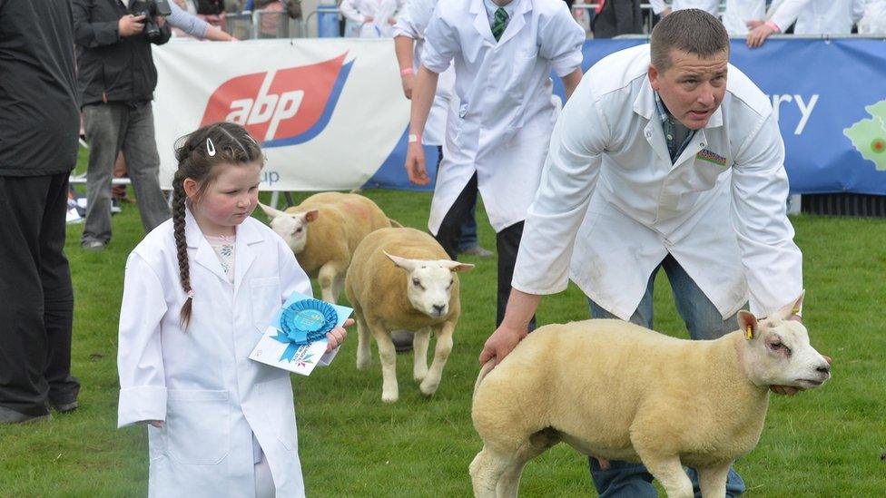 Child and mand judging sheep contest