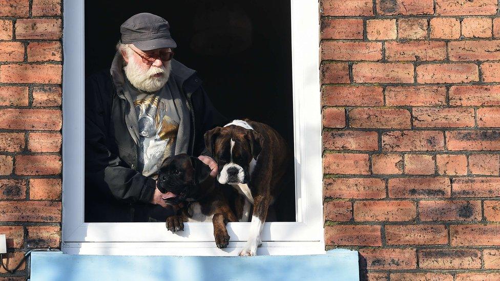 These two dogs and their owner look out of the window as they wait to be rescued in Carlisle.