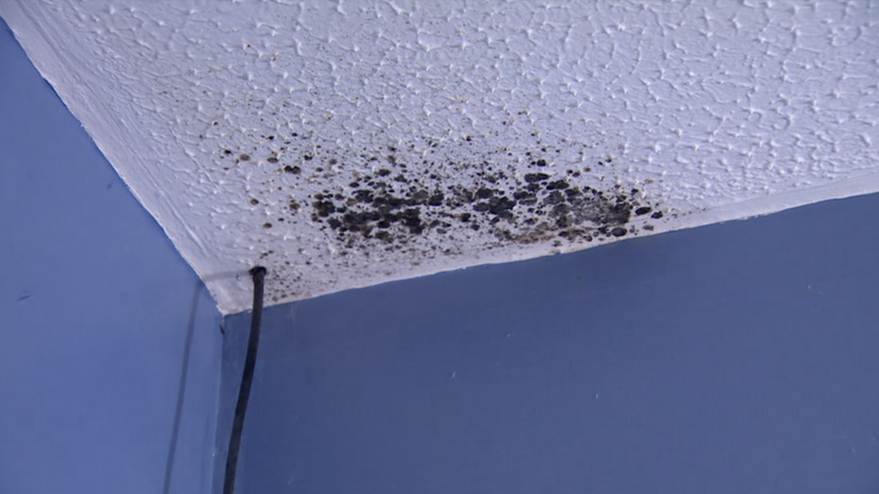 Mould on the ceiling of the woman's home in Ballymena