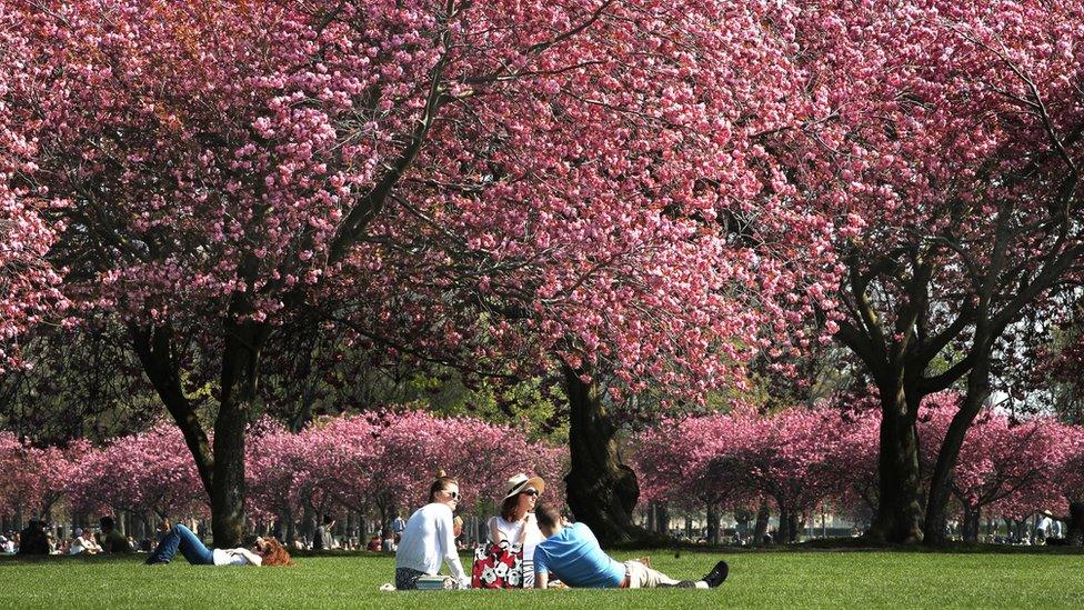 The Meadows in Edinburgh