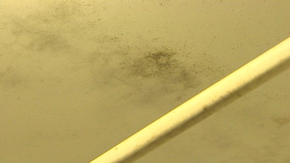 signs of mould on a wall