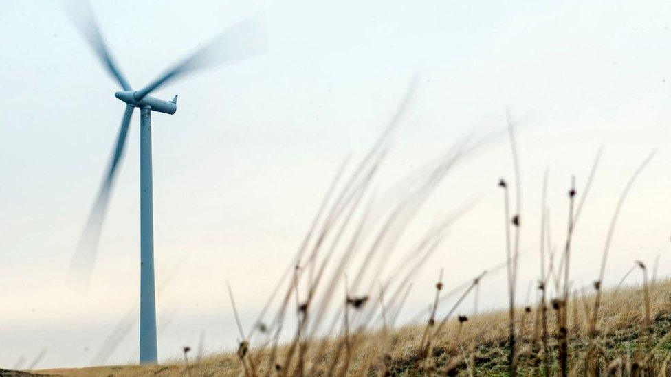 Whitelee wind farm