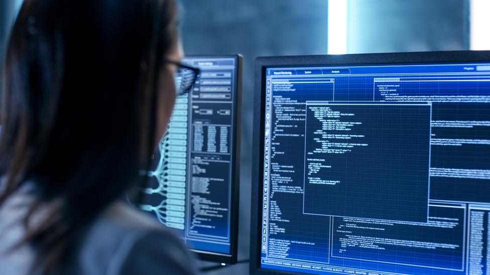 Back of a woman in front of a computer screen