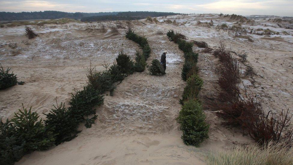 Formby Beach