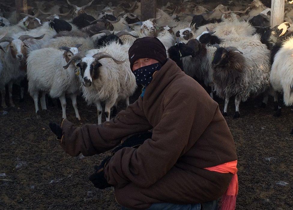 Picture of Tibetan herder Qie Qun Jia