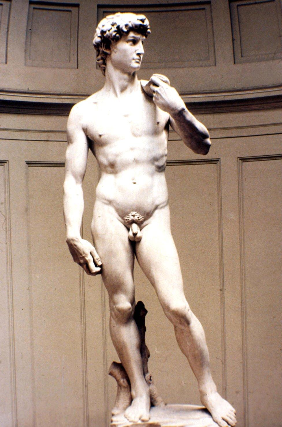 Michelangelo's marble statue of David