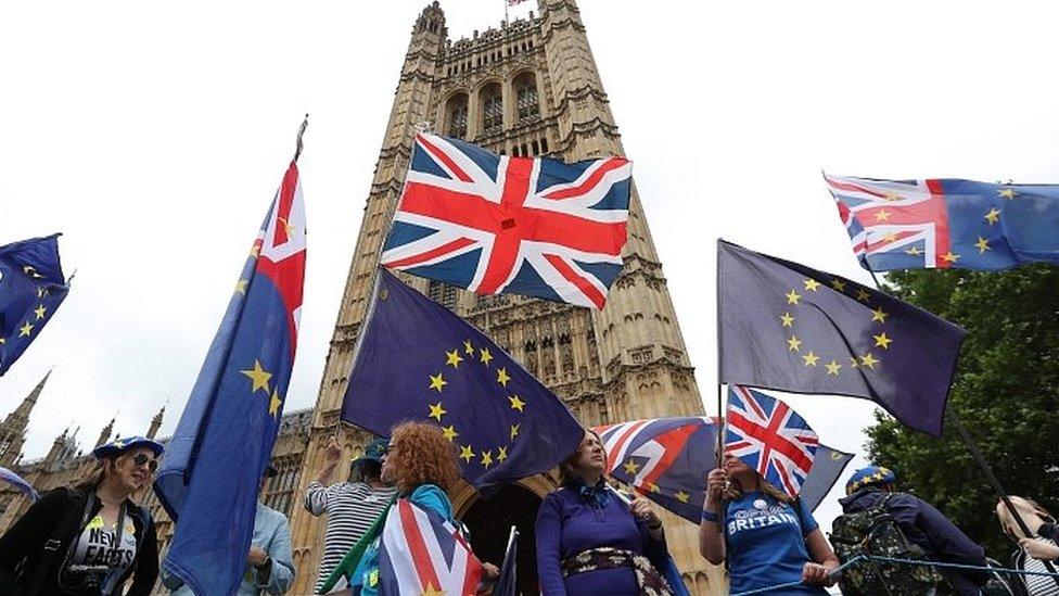 Pro-EU demonstrators outside Parliament