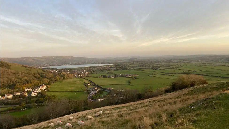 A panorama of a distant Cheddar reservoir surrounded by green fields with a hillside of sheep in the foreground. Several houses are dotted in the landscape.