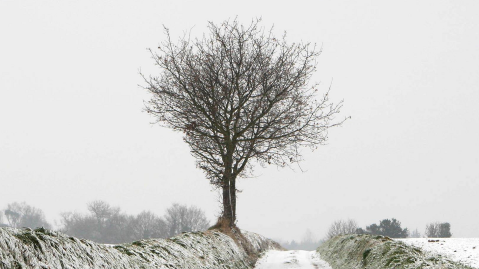 Suffolk And Norfolk Issued With Met Office Ice Weather Warning BBC News suffolk-and-norfolk-issued-with-met-office-ice-weather-warning-bbc-news