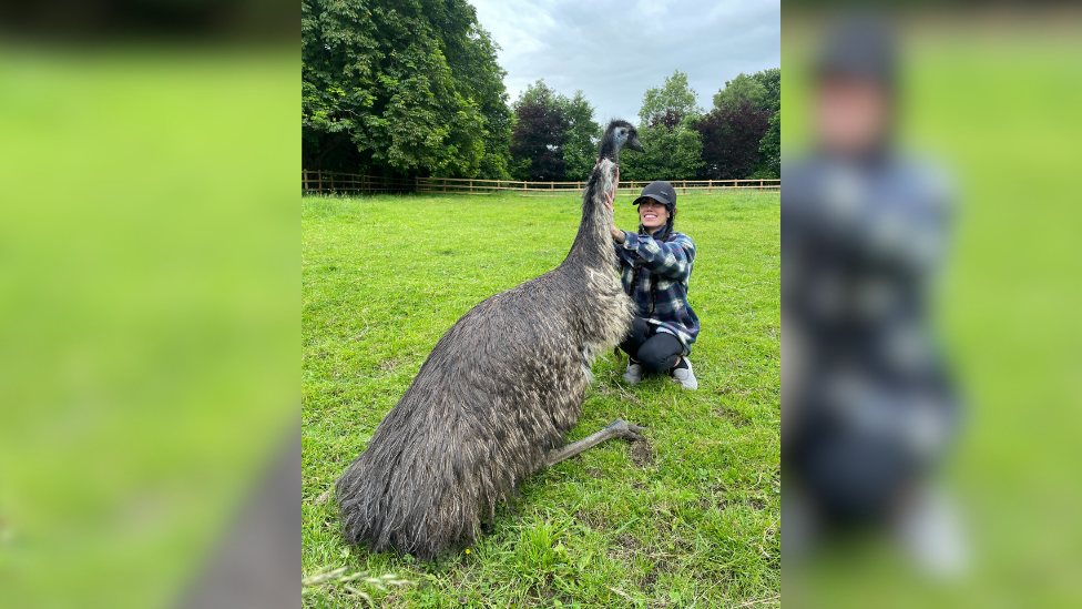 Rhi Evans kneels in front of a fully-grown emu in a field with her hands on its neck. She is wearing a blue and white check shirt, dark leggings, white trainers and a black baseball cap. She is smiling at the bird.