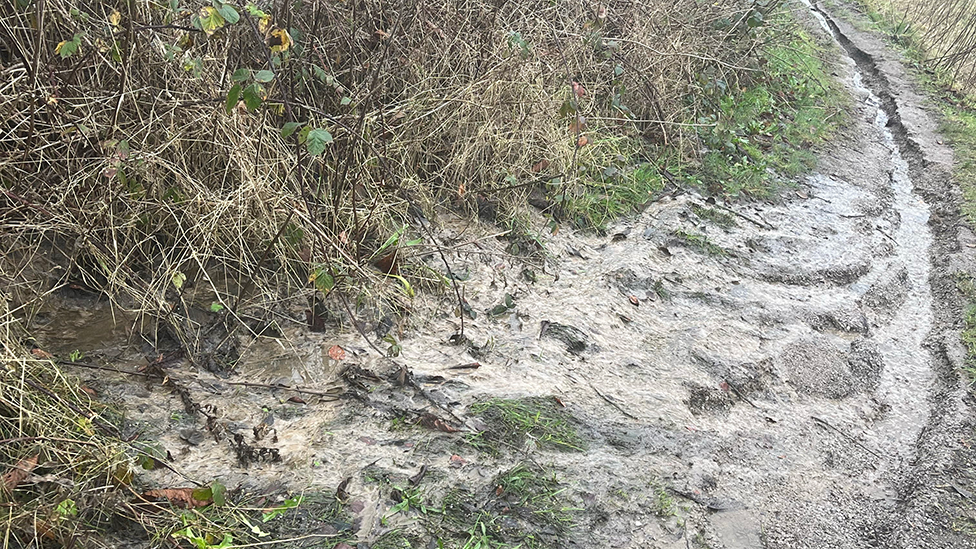 A layer of what seems to be sewage covering a grass and bramble bank