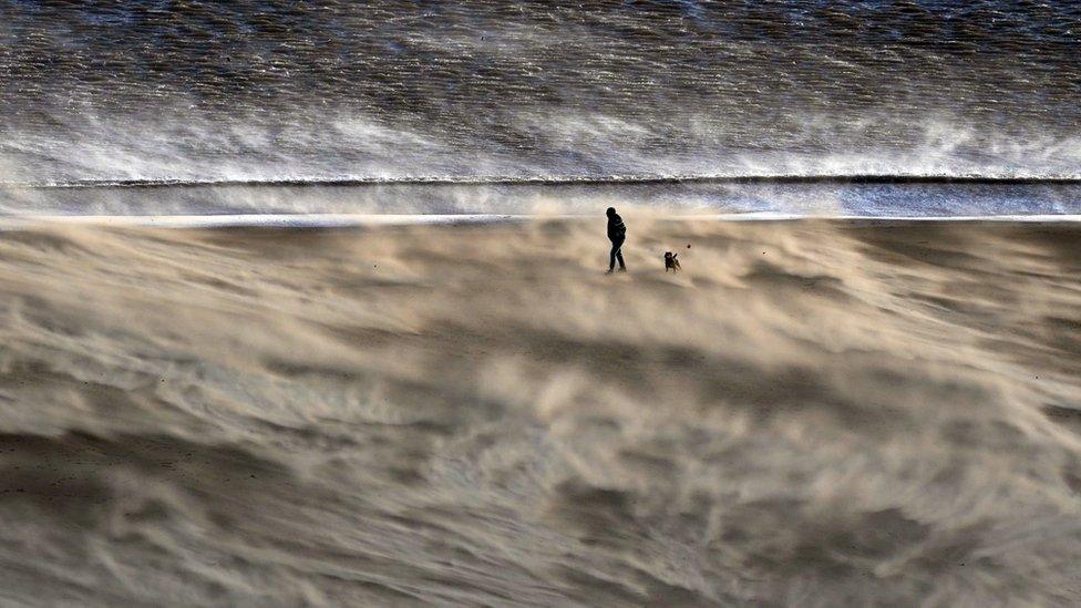 A person on a windy Tynemouth beach