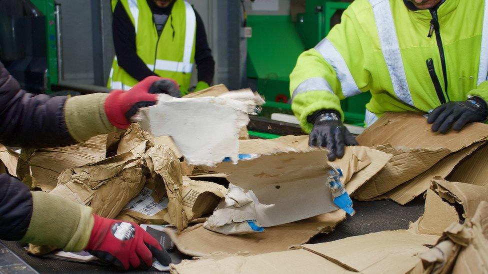 Rubbish being sorted on a conveyor belt for recycling