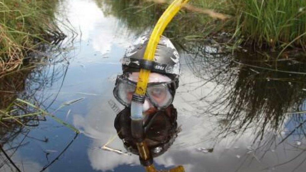 Bog snorkelling