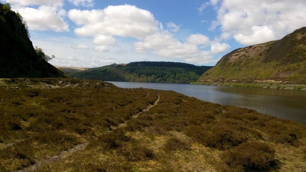 Cwm Elan, Powys