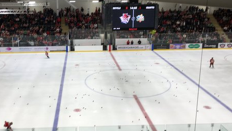 Cardiff Devils Ice Arena