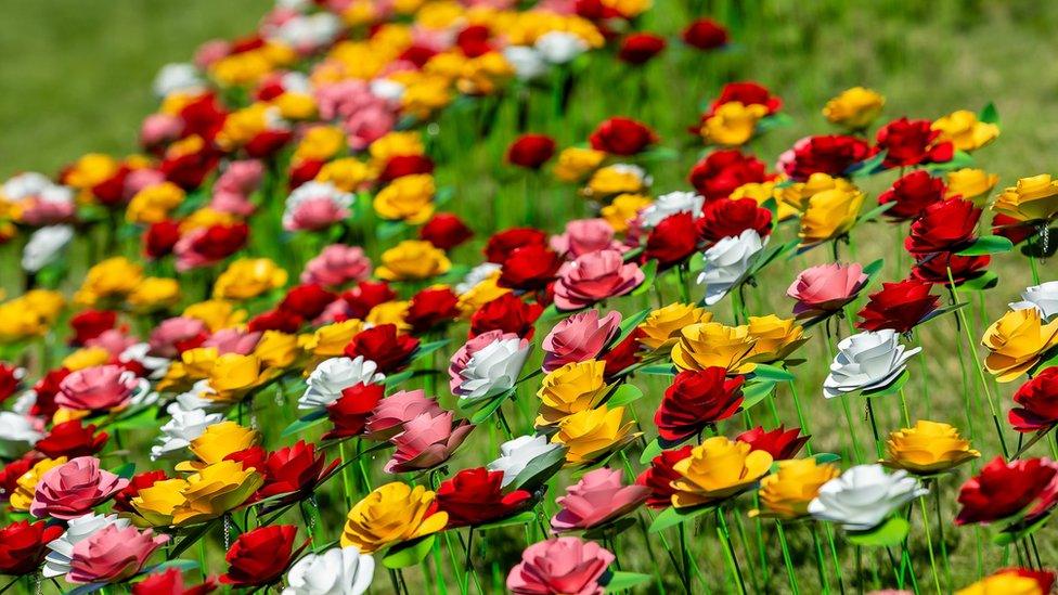 A sea of recycled roses, coloured red, yellow pink and white.