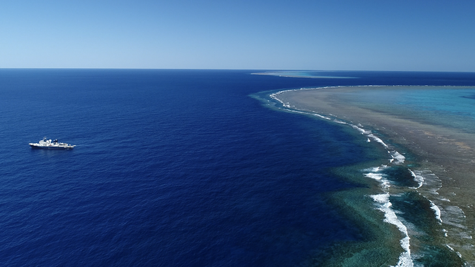 Scientists aboard Schmidt Ocean Institute's research vessel Falkor