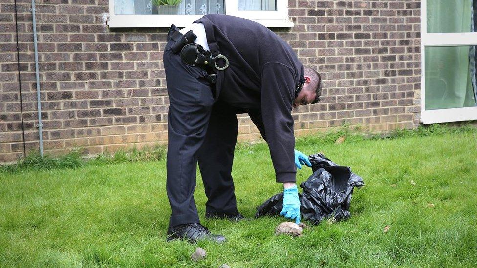 Police officer picks up a dead cat