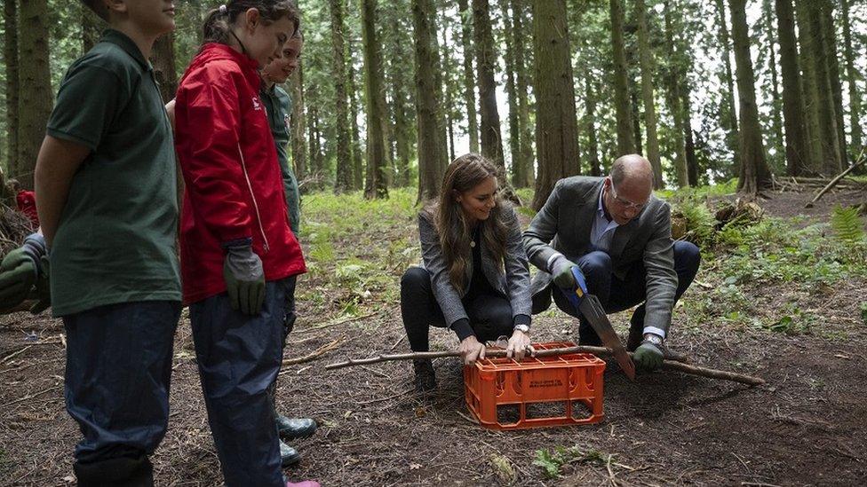 Prince William and the princess cutting a log