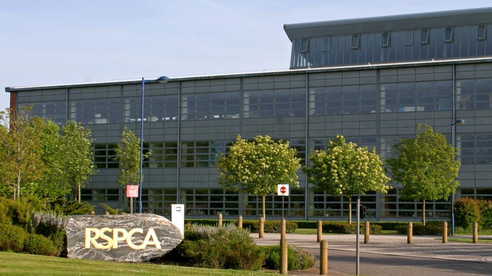 RSPCA headquarters