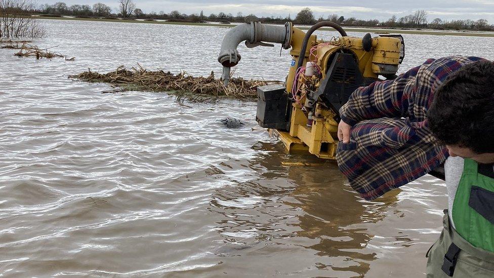 Flooded farm