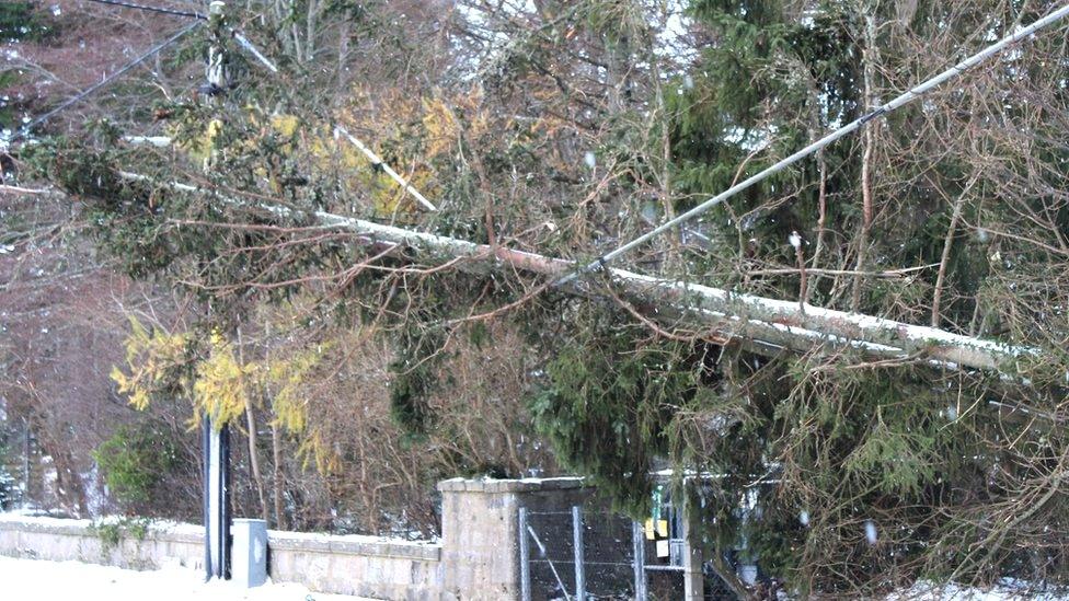 Power line down in Ballater