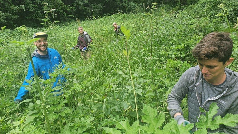 Friends of Brislington Brook volunteer