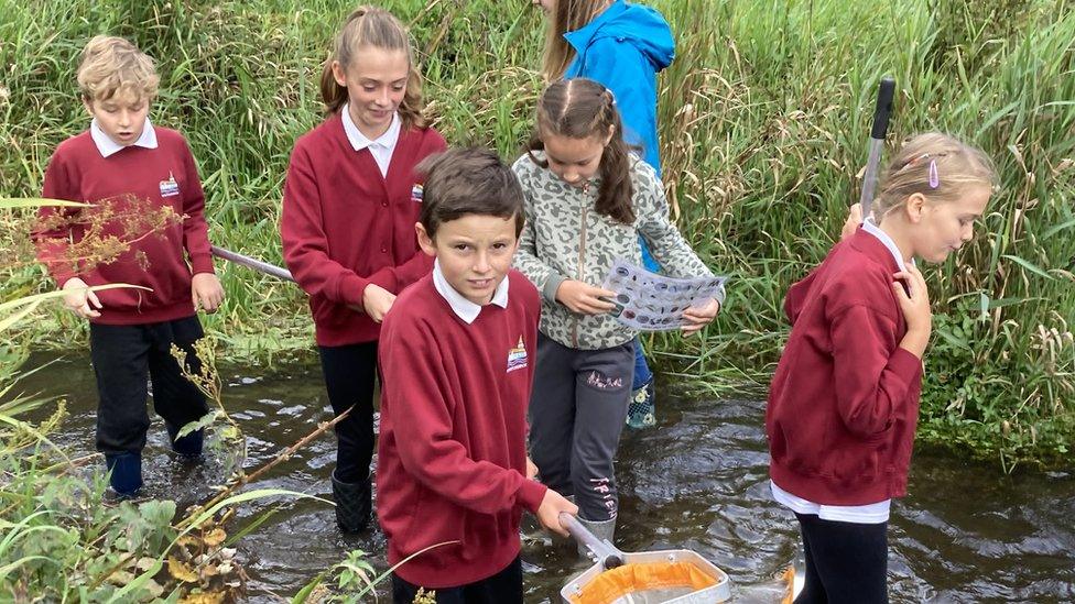 Children from Whitchurch Church of England Primary school in the river Test