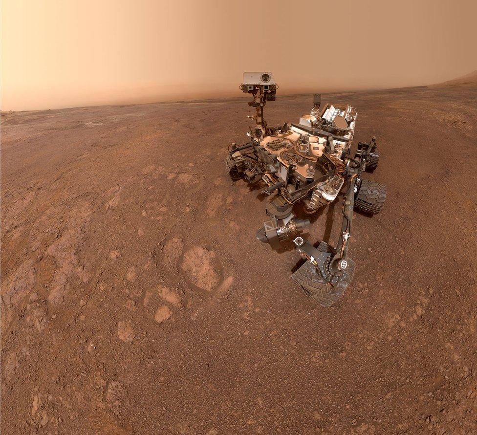 Rover selfie