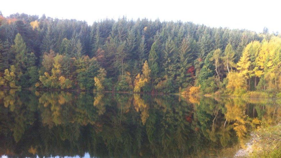 Picture of a lake in Sheffield