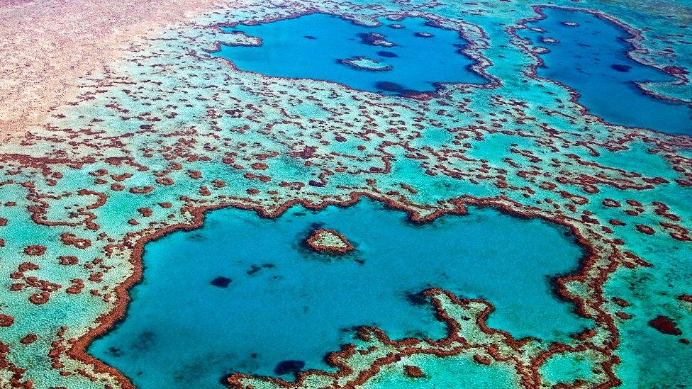 Aerial view of heart-shaped Heart Reef, part of the Great Barrier Reef of the Whitsundays in the Coral sea, Queensland, Australia.