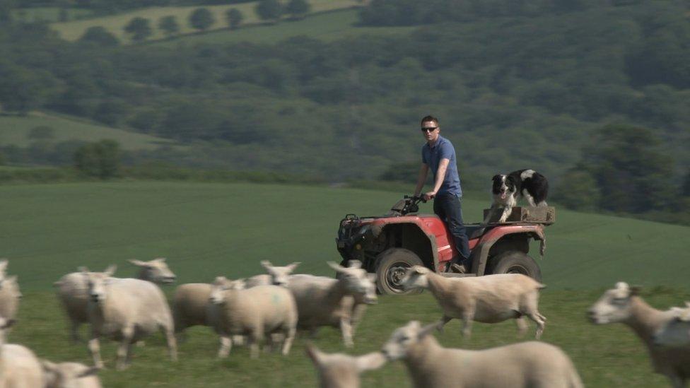 Welsh farmer Jacob Anthony