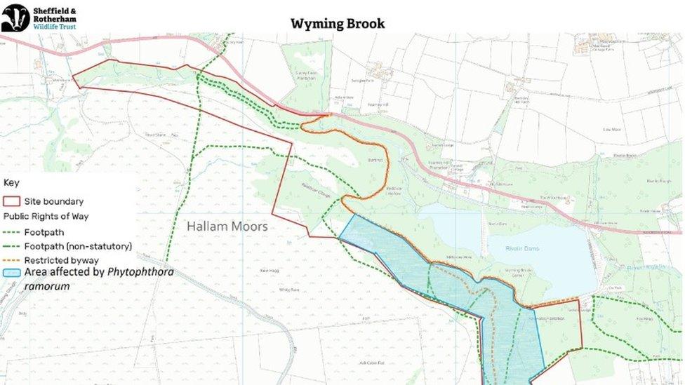 Map of Wyming Brook showing area affected by Phytophthora ramorum