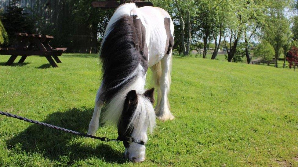 Mr Melvin Andrews at Penny Farm