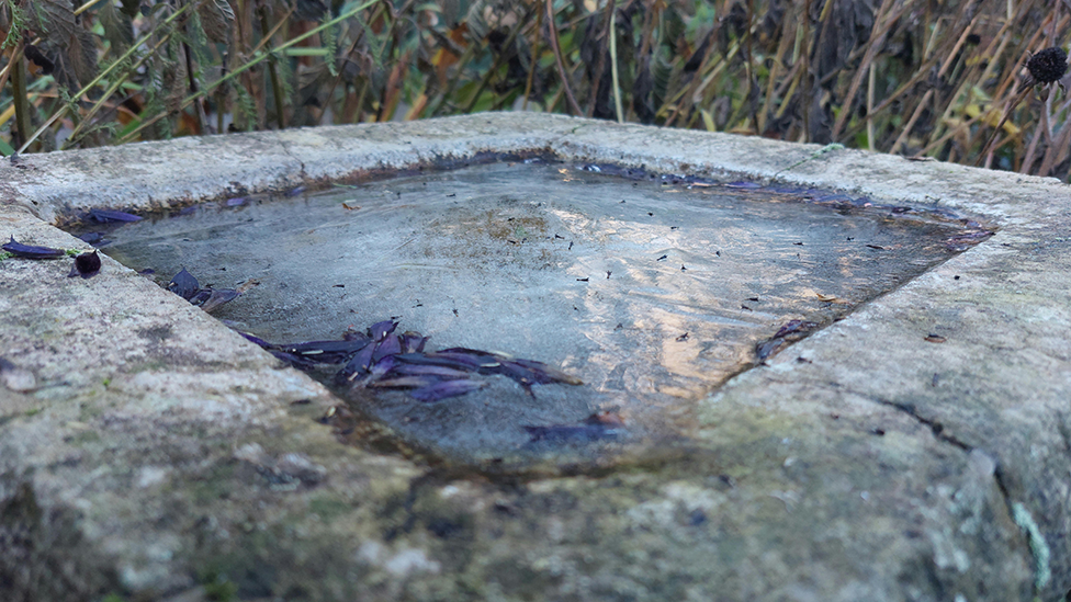 Close up of ice covering a bird bath in Wednesfield