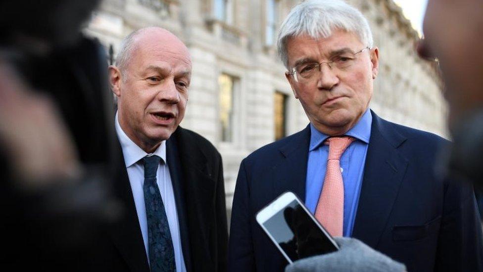 Conservative MPs Damian Green and Andrew Mitchell