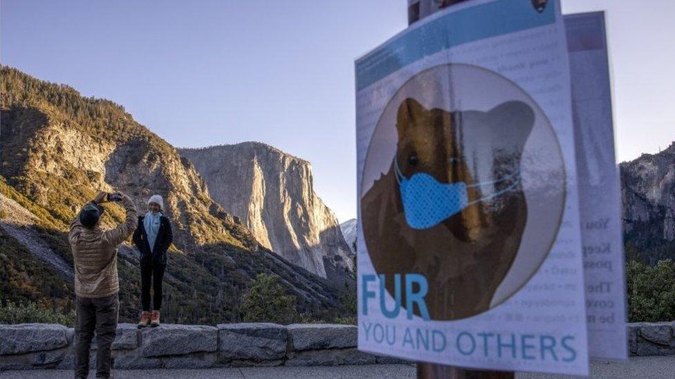 Visitors take pictures at Yosemite National Park, California. Photo: 26 November 2020