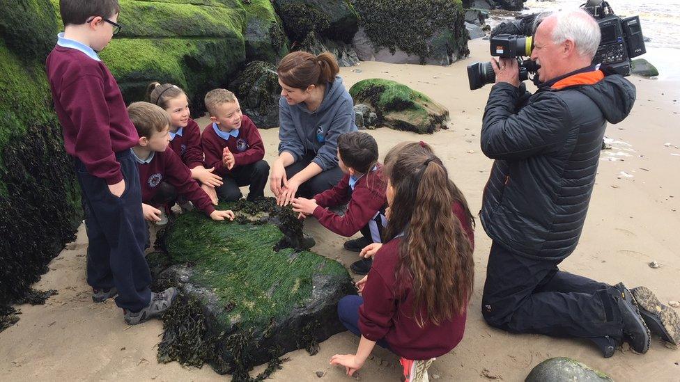 Children from Ballycastle Integrated Primary School are involved in the project